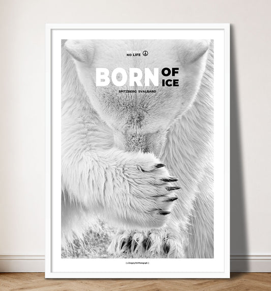 Born of Ice
