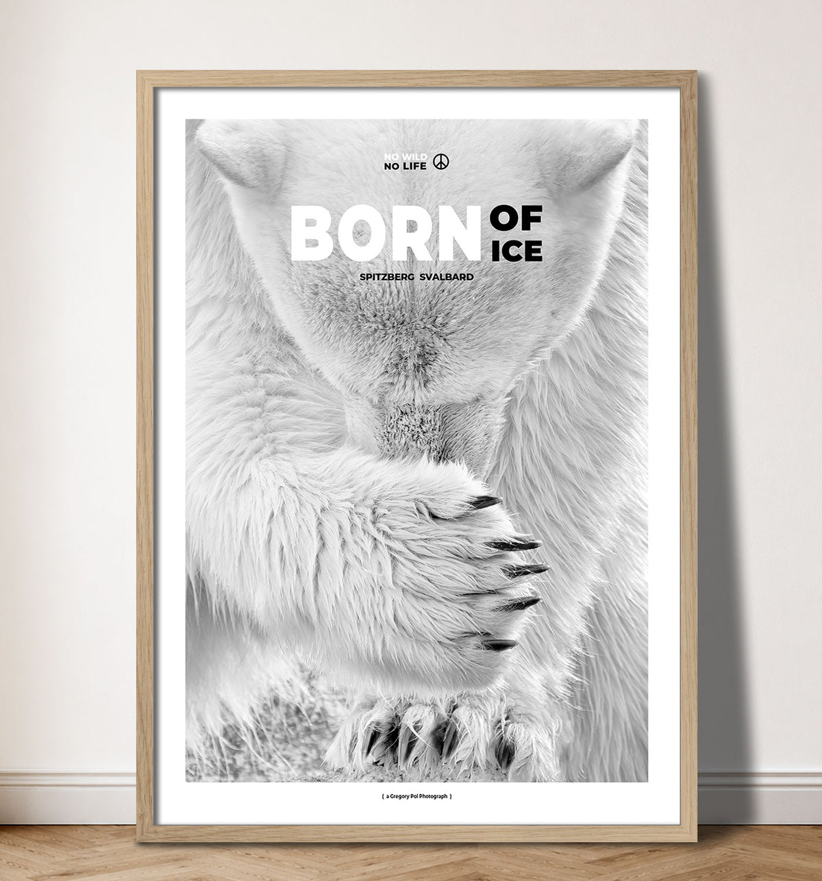 Born of Ice
