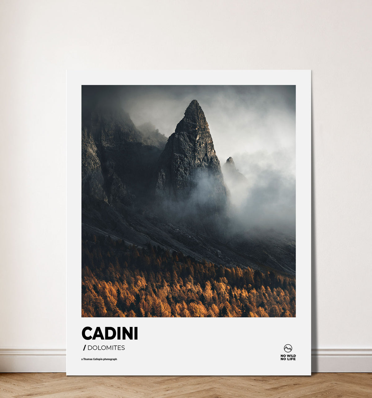 Cadini