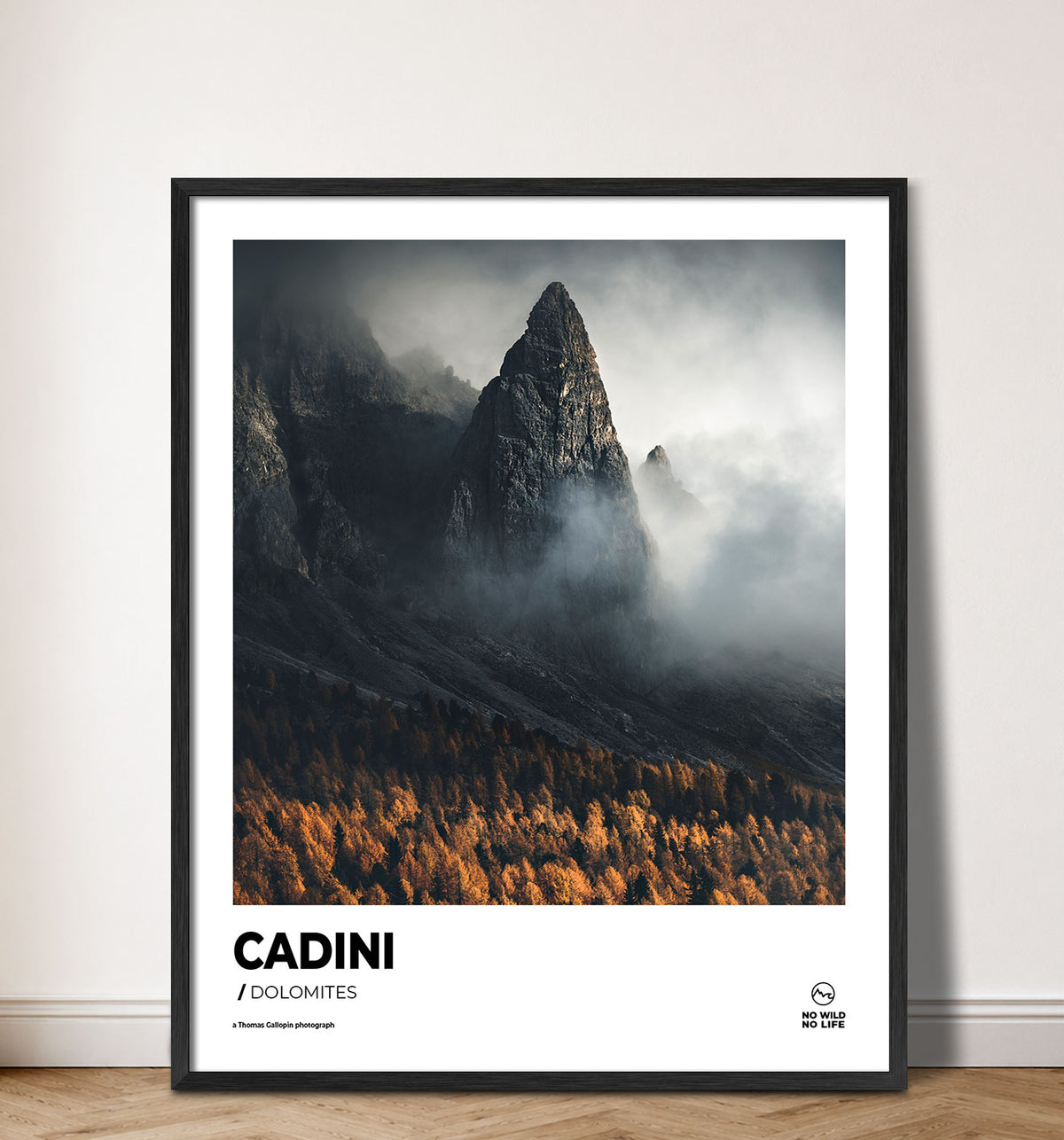 Cadini
