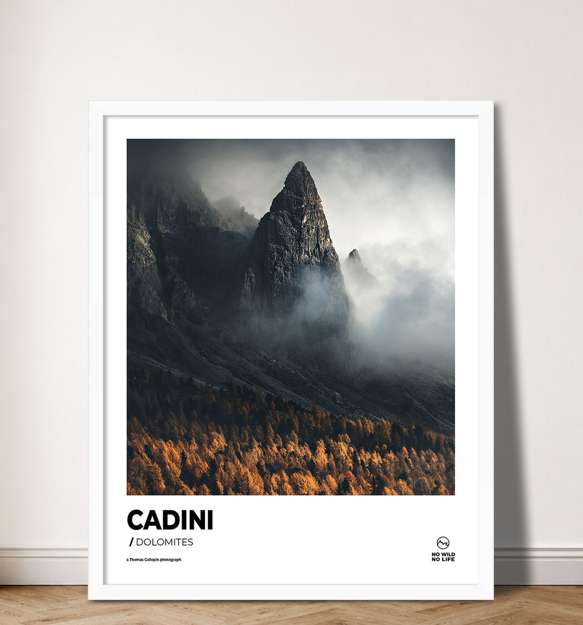 Cadini