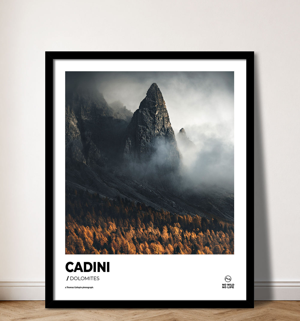Cadini