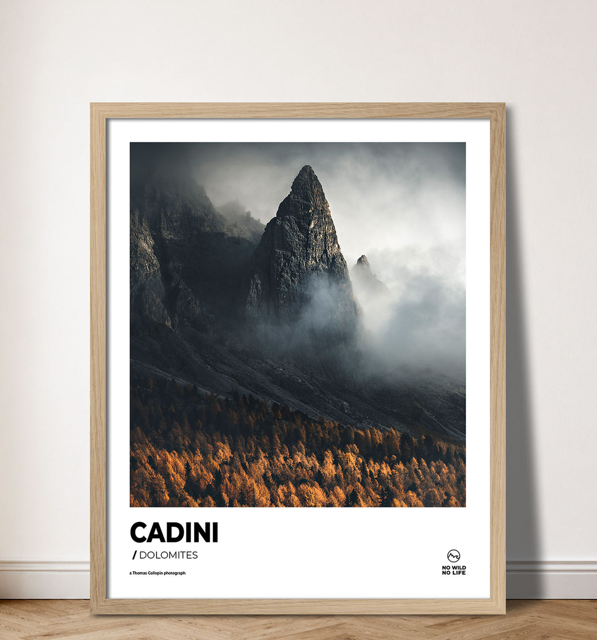 Cadini