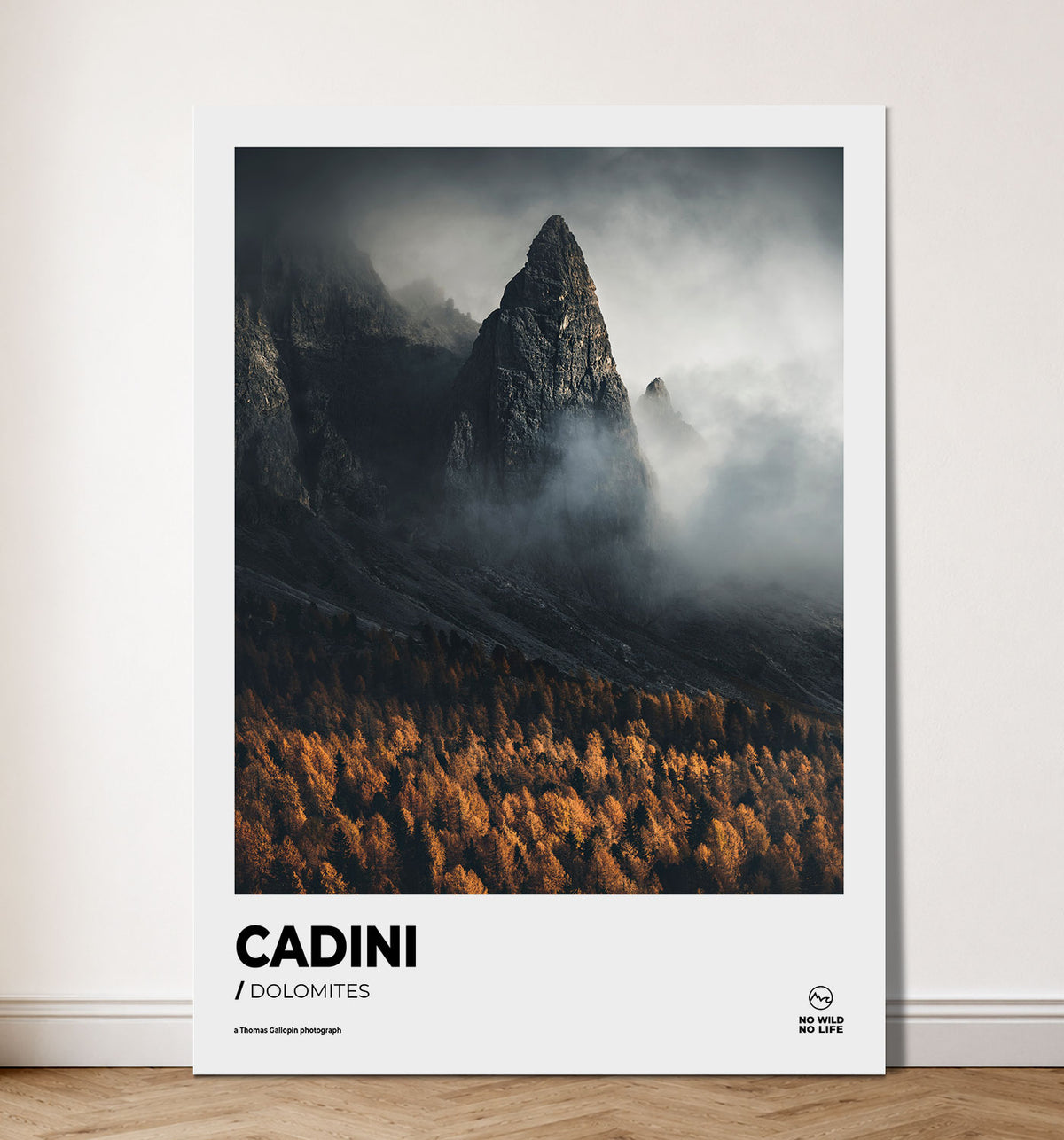 Cadini