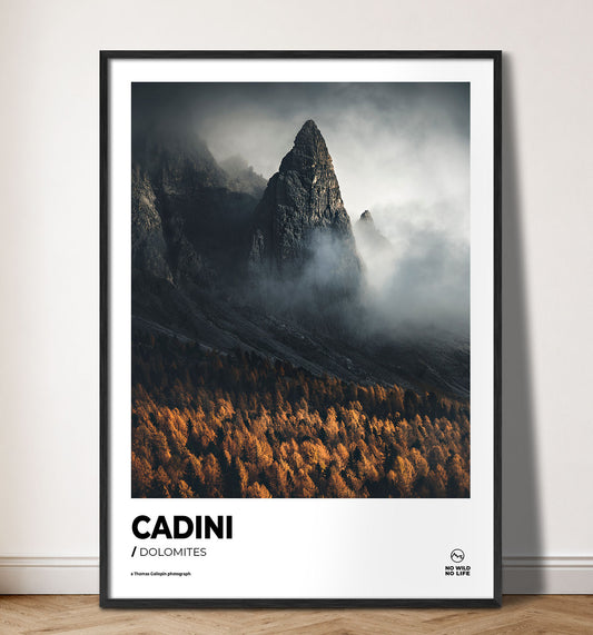 Cadini