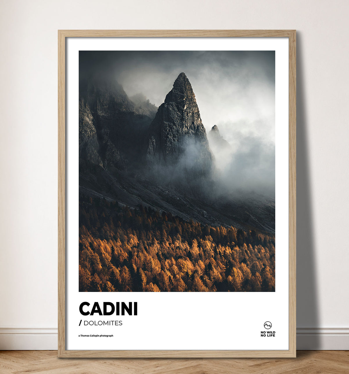 Cadini