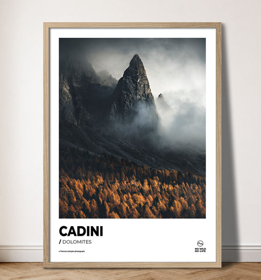 Cadini
