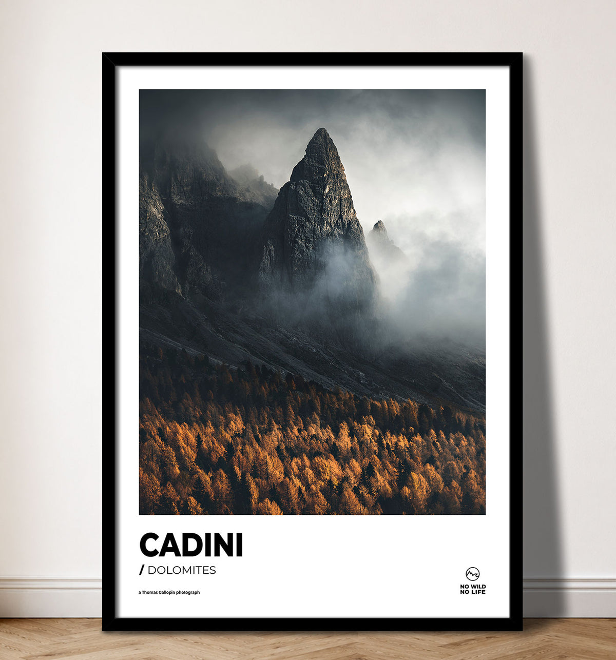 Cadini