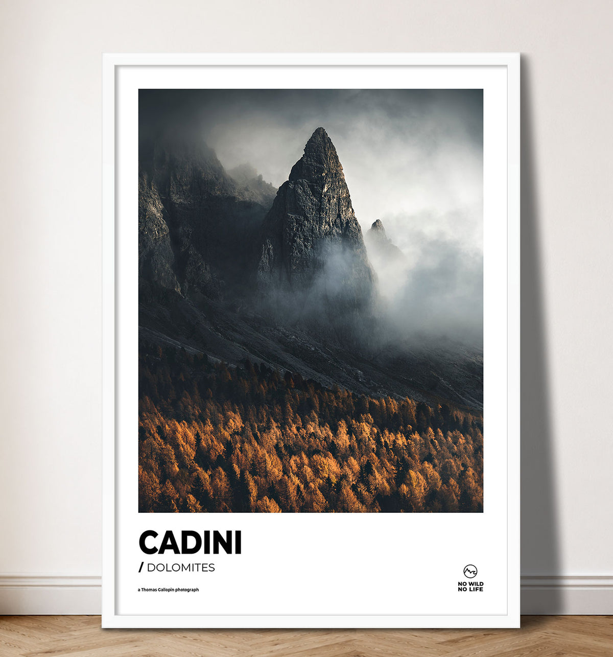 Cadini