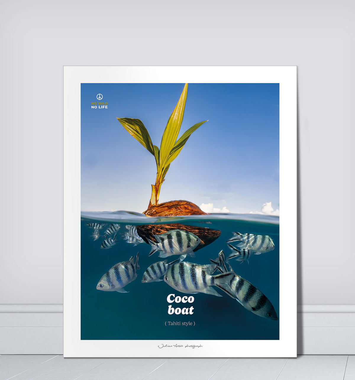 Coco boat