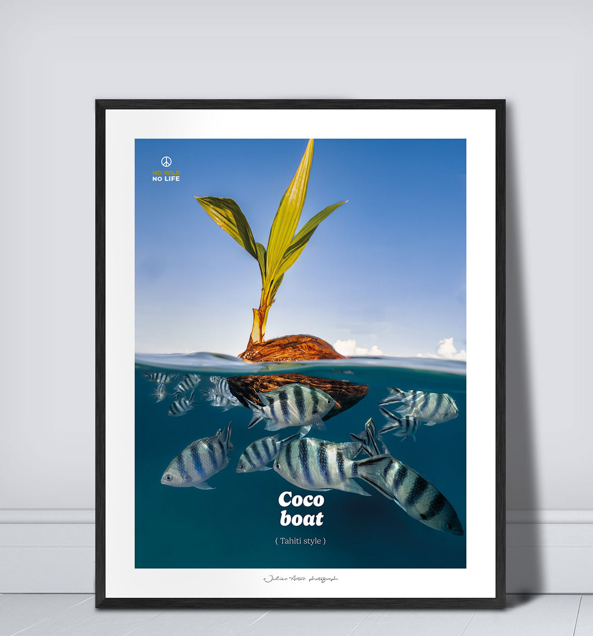 Coco boat