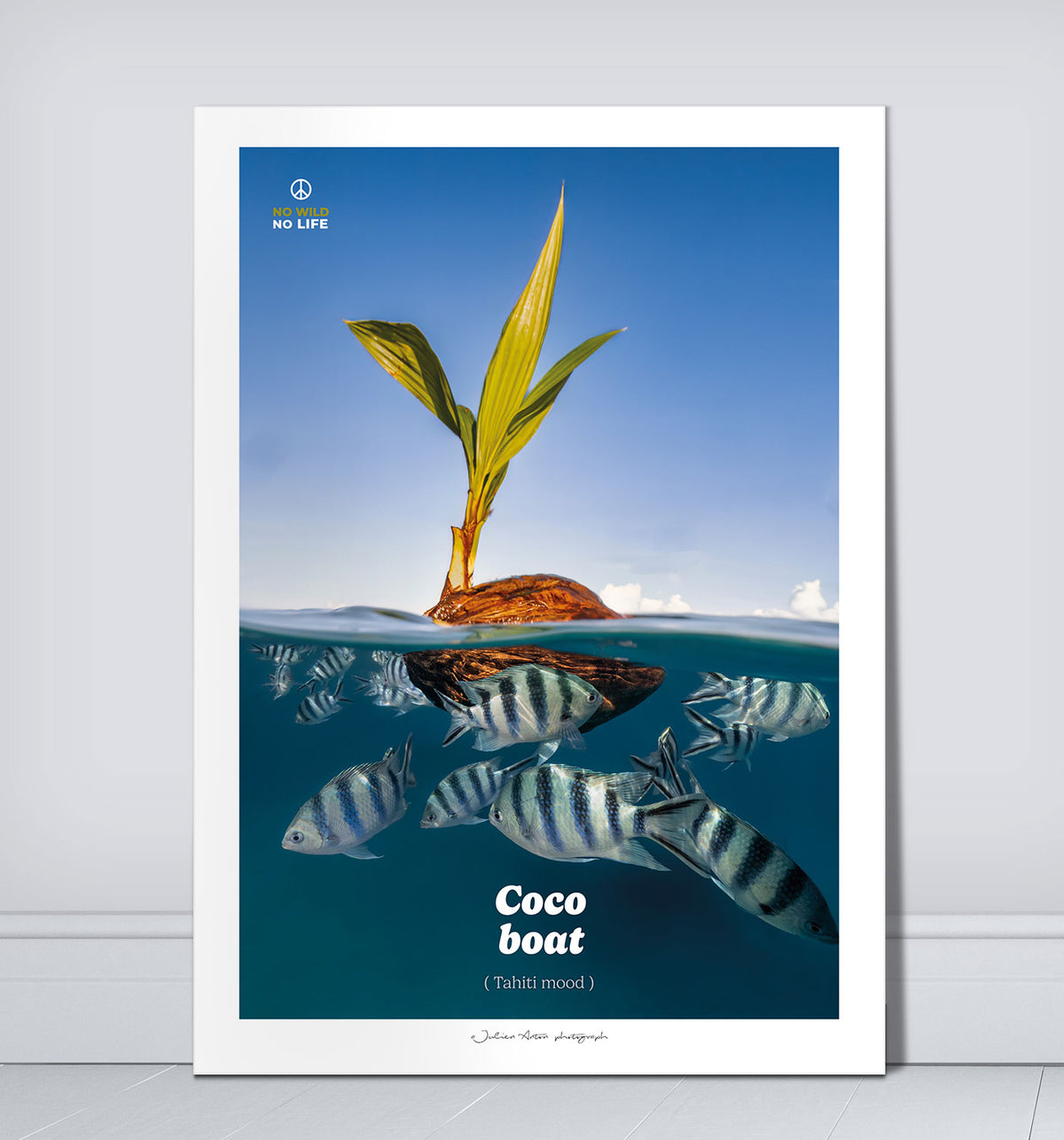 Coco boat