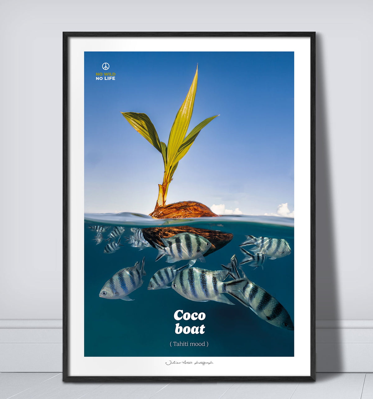 Coco boat