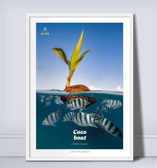 Coco boat