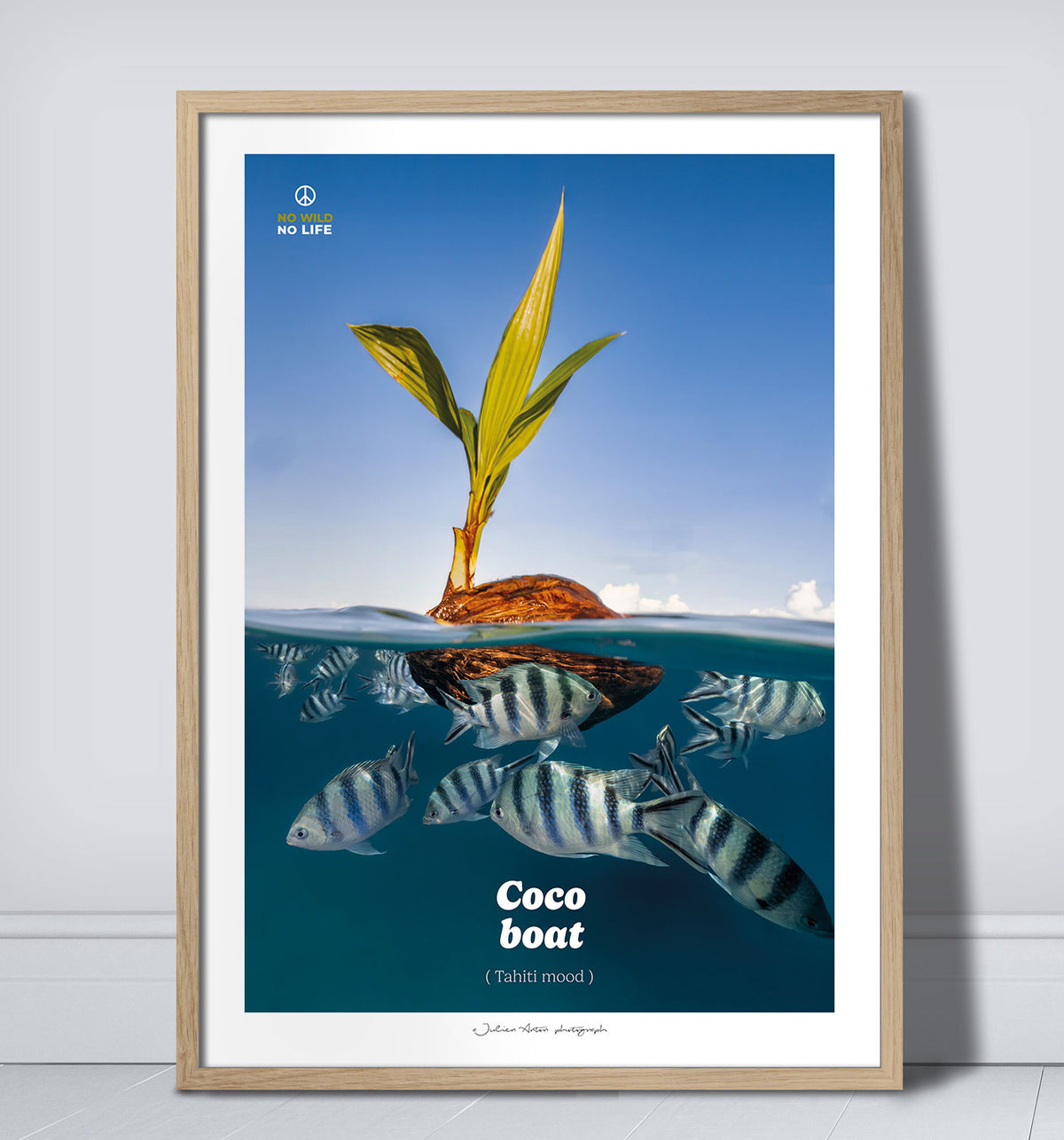 Coco boat