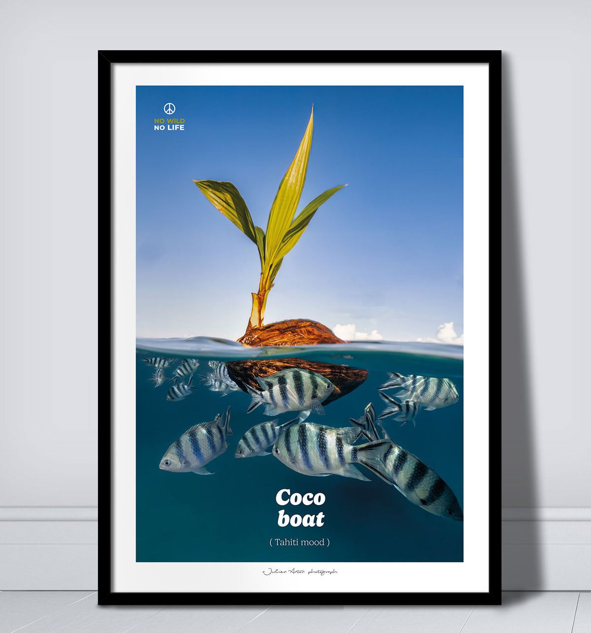 Coco boat
