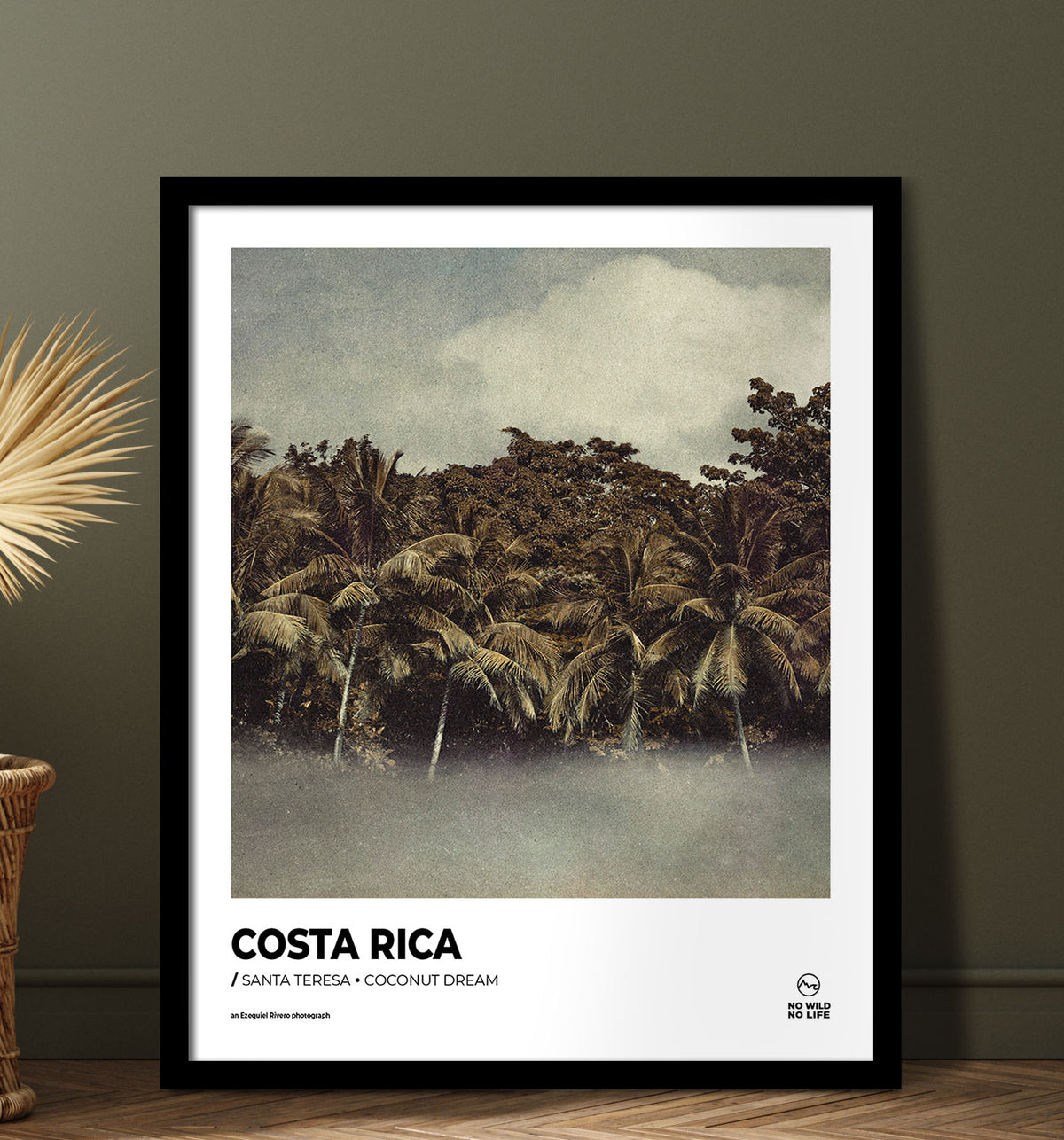 Coconut dream