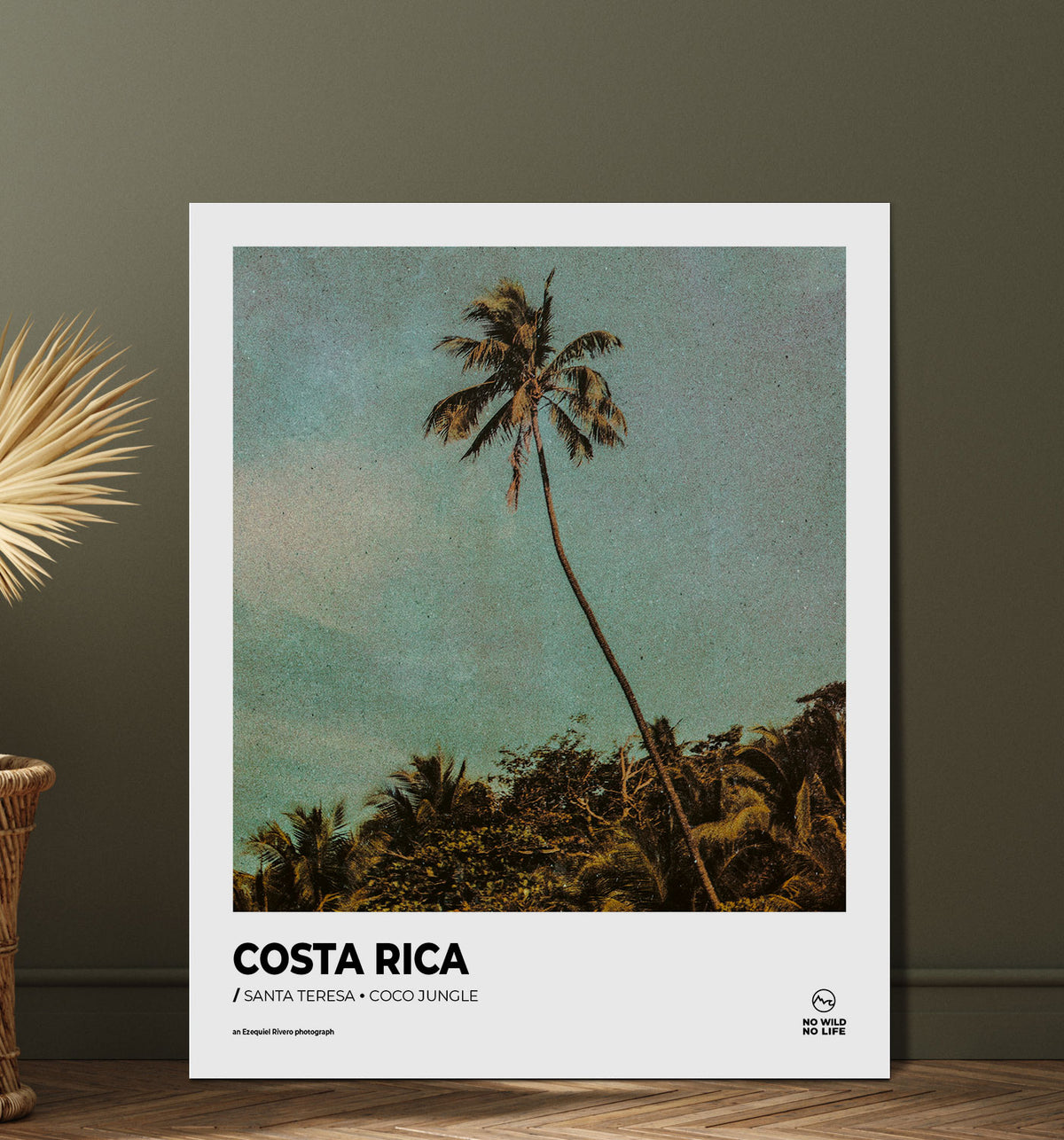Coco Jungle