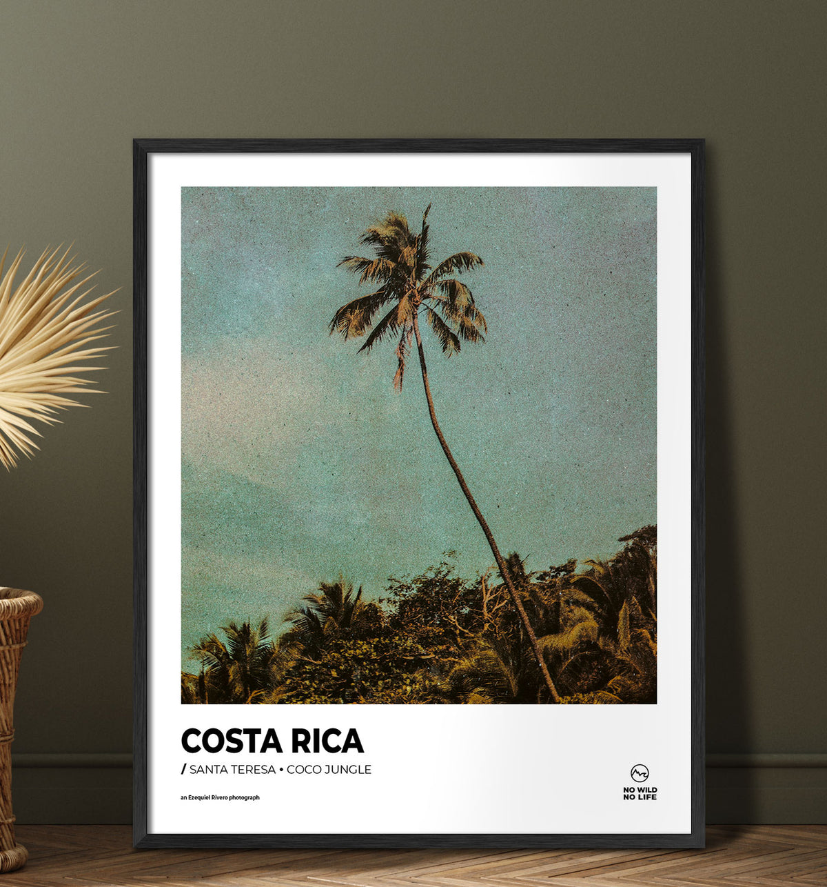 Coco Jungle