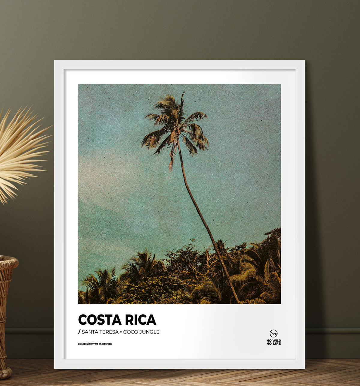 Coco Jungle