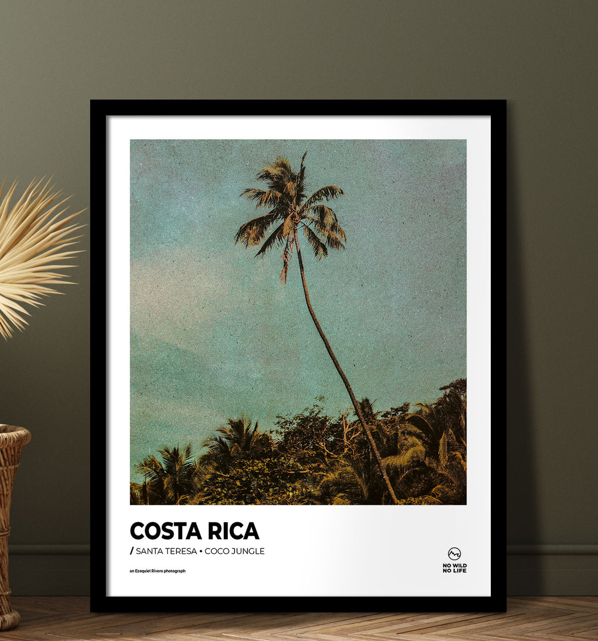 Coco Jungle