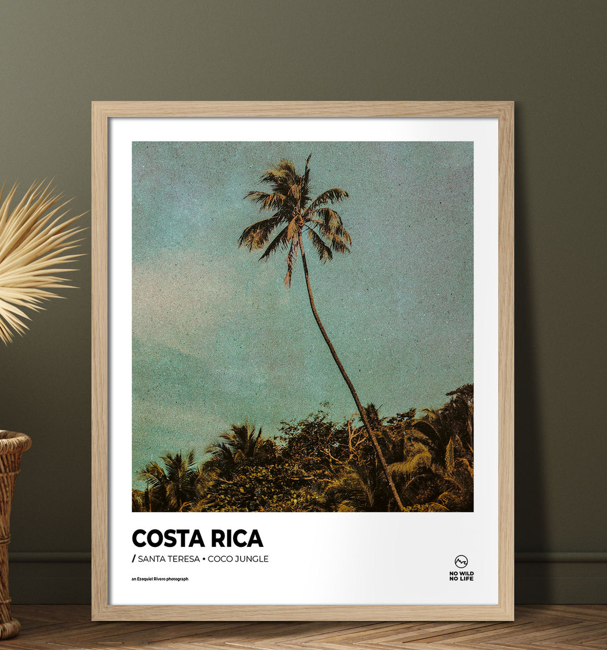 Coco Jungle