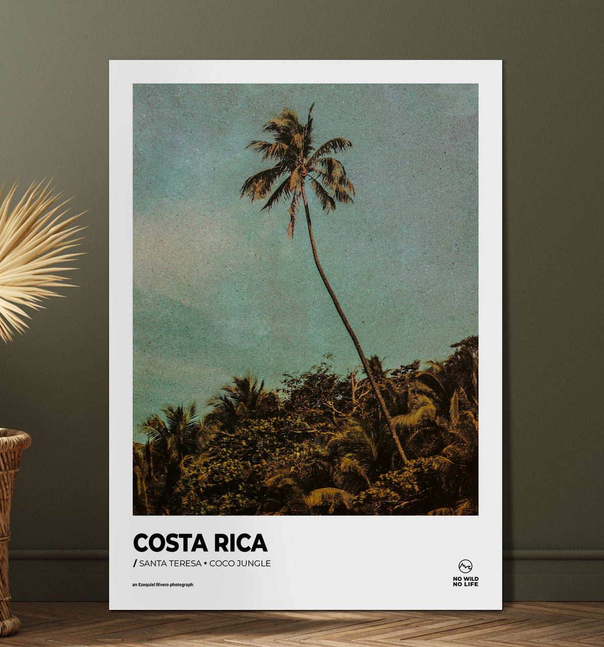 Coco Jungle