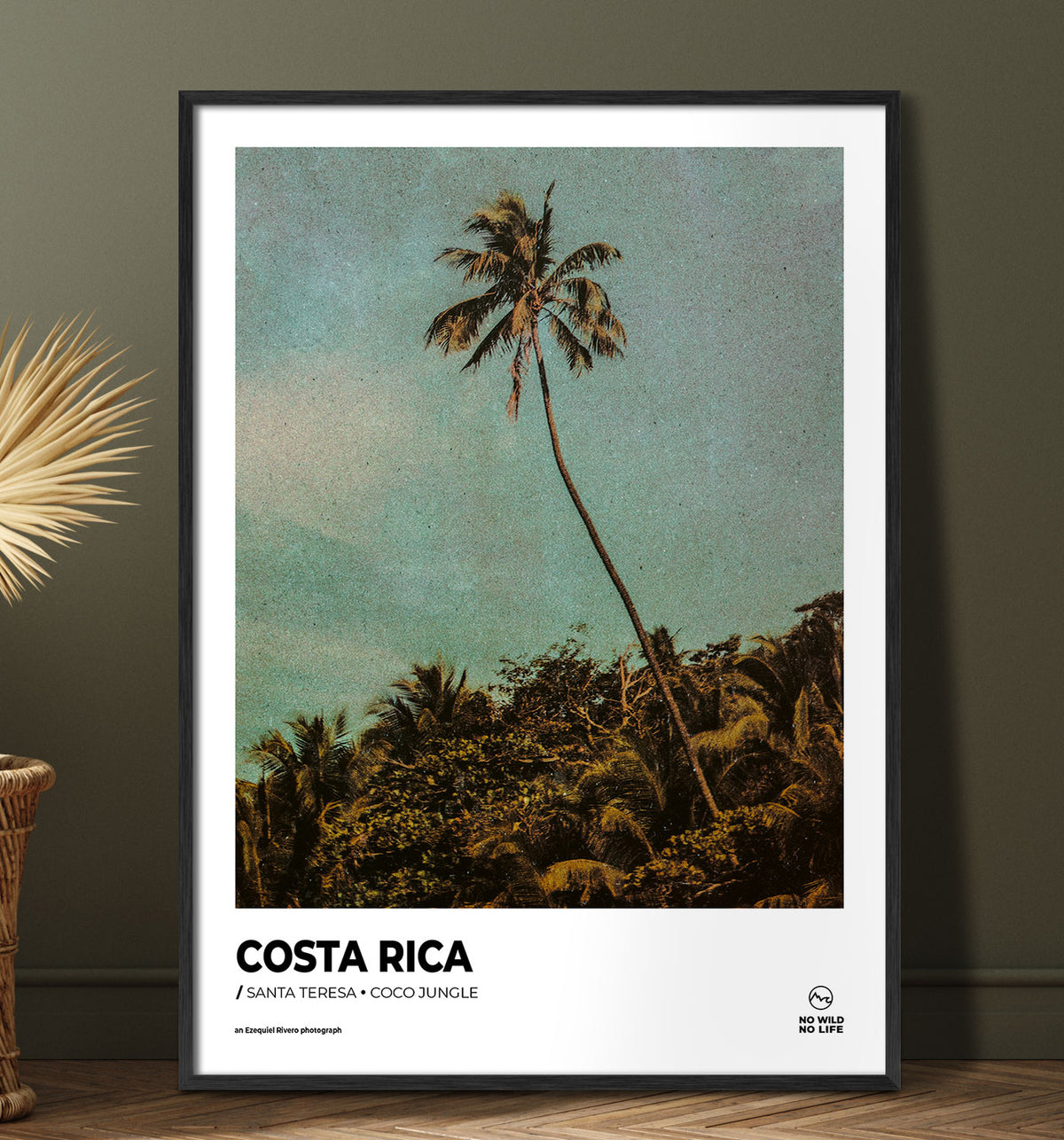 Coco Jungle
