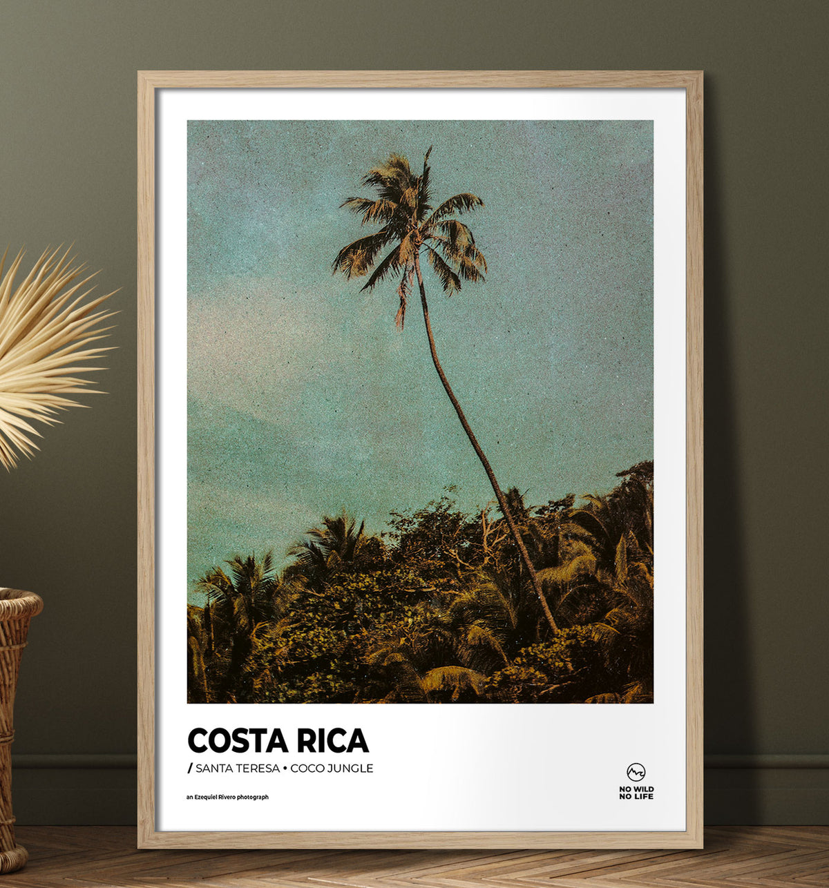 Coco Jungle