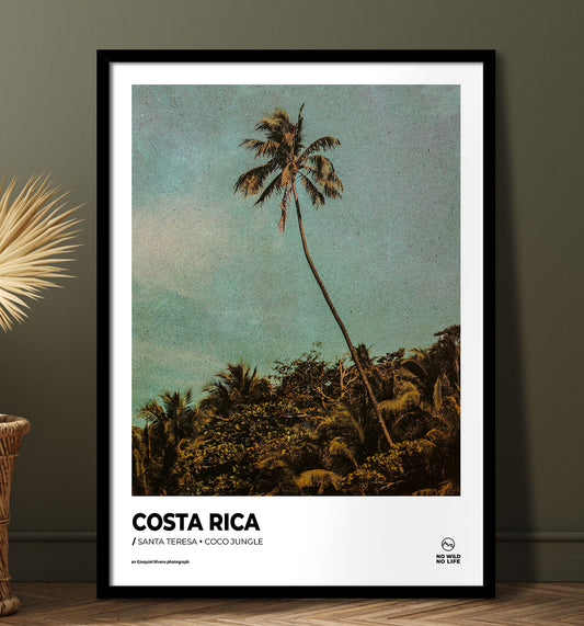 Coco Jungle