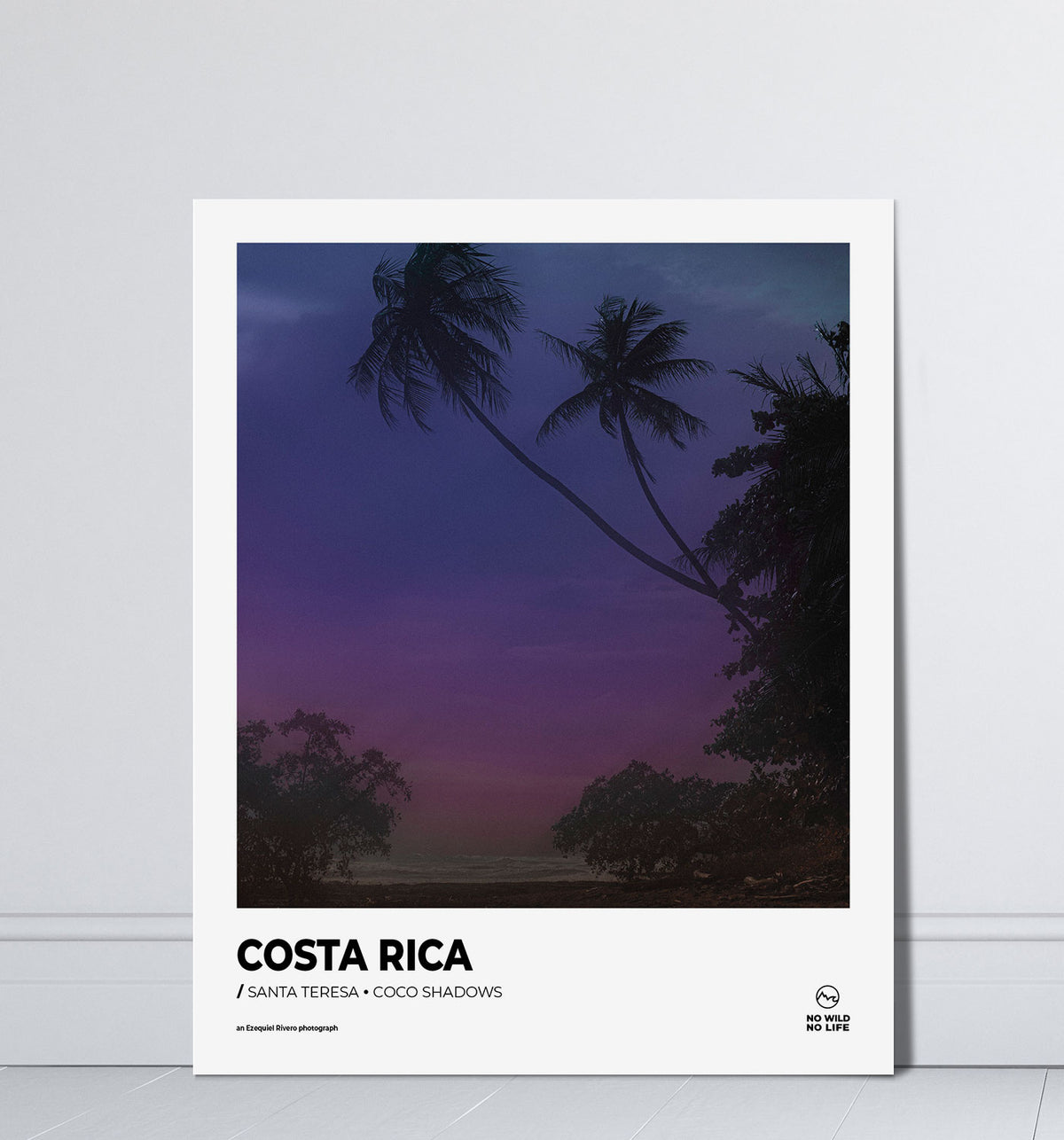 Coco Shadows
