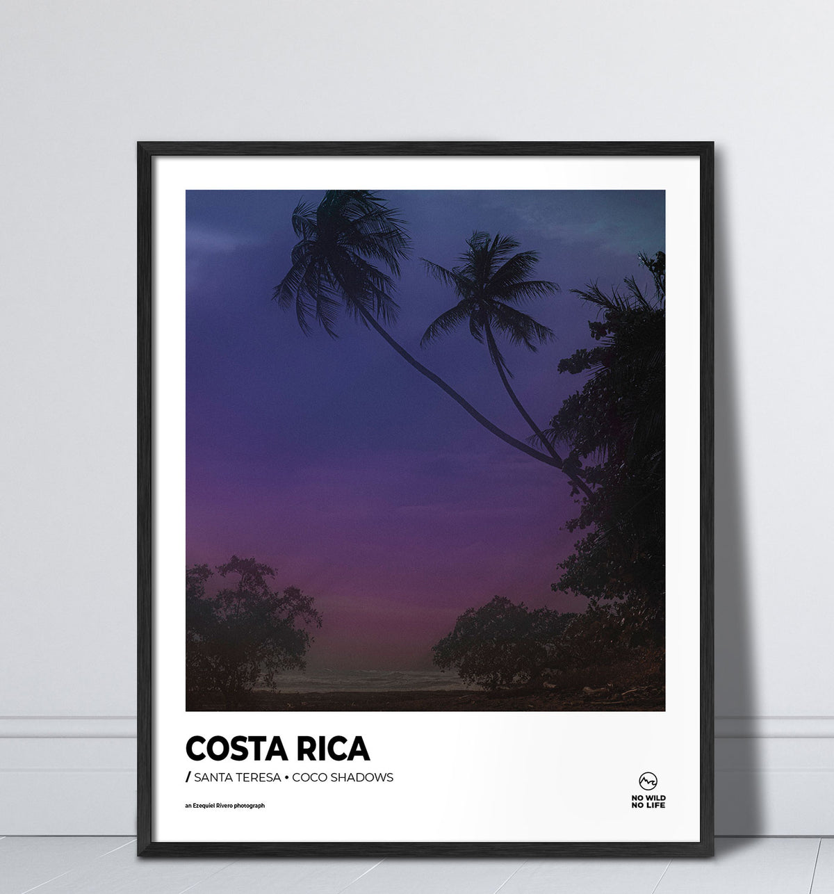Coco Shadows