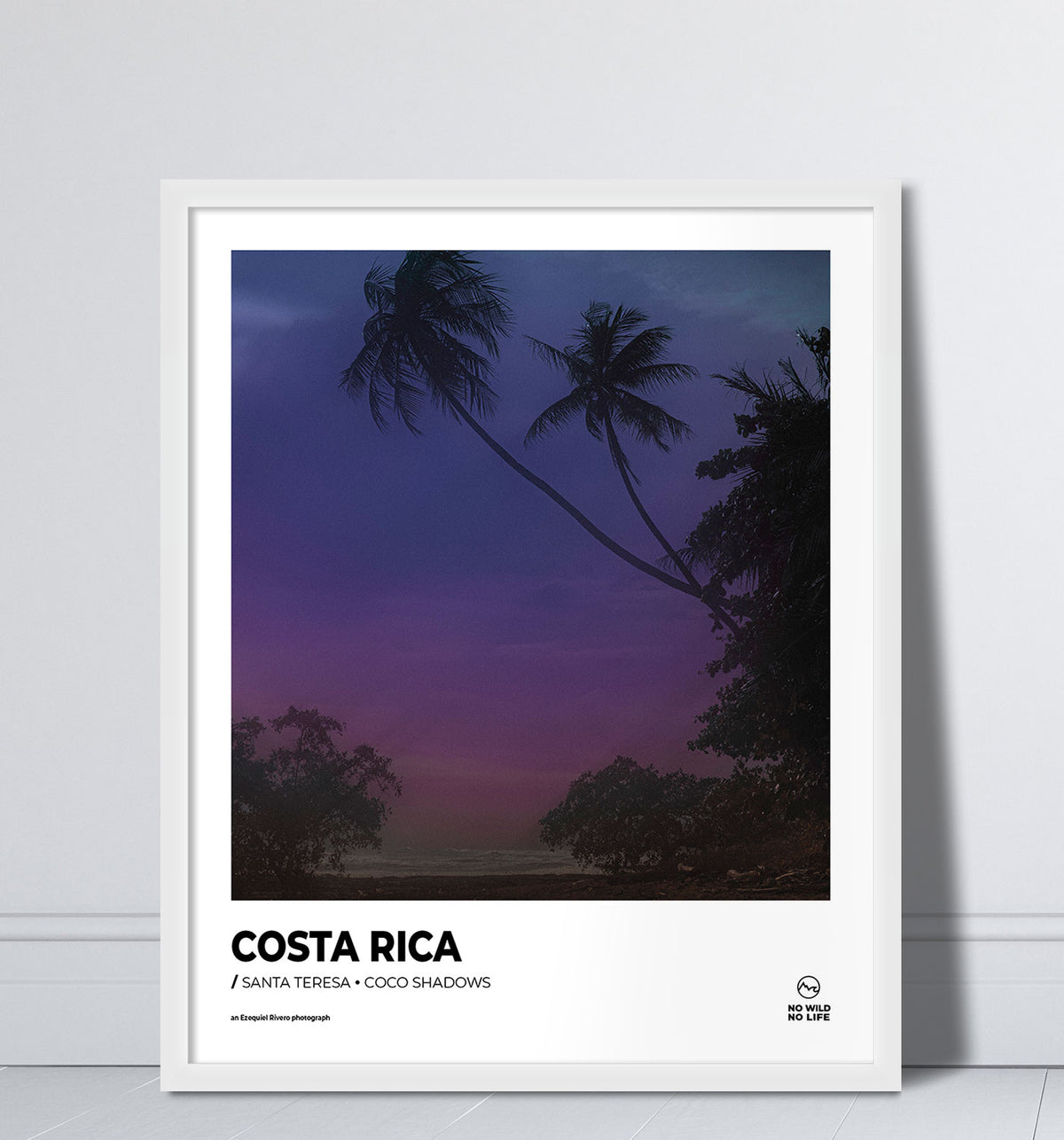 Coco Shadows