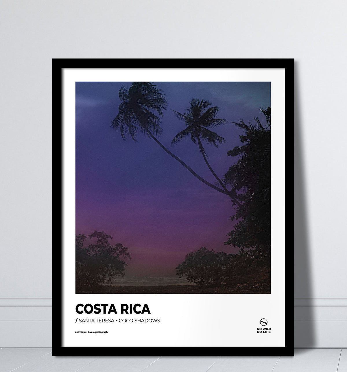 Coco Shadows