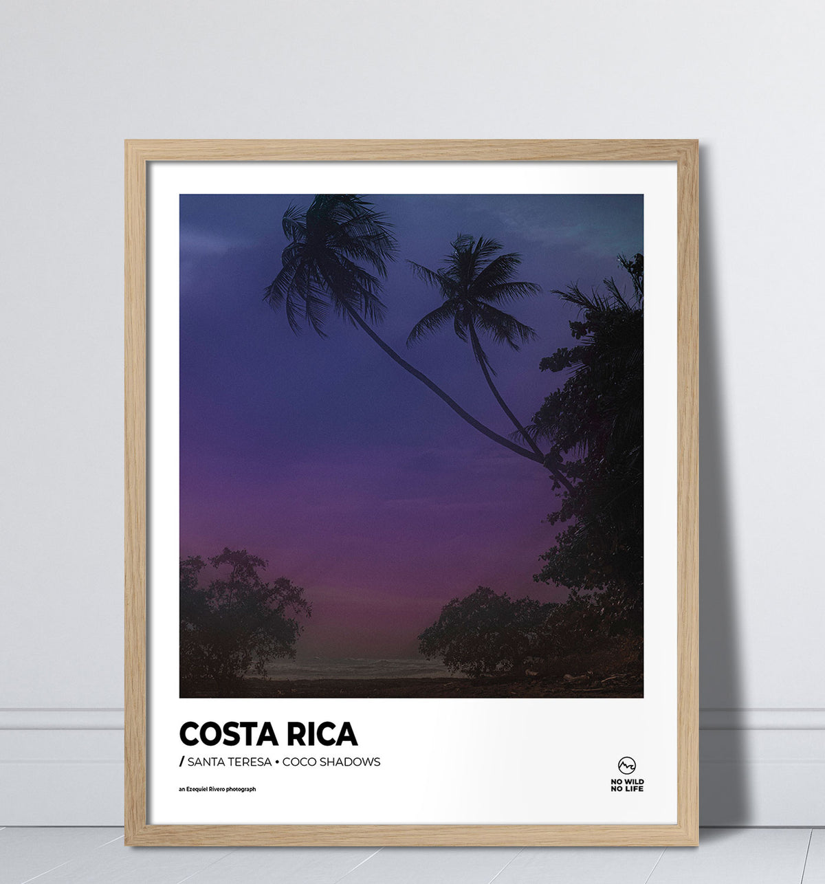 Coco Shadows