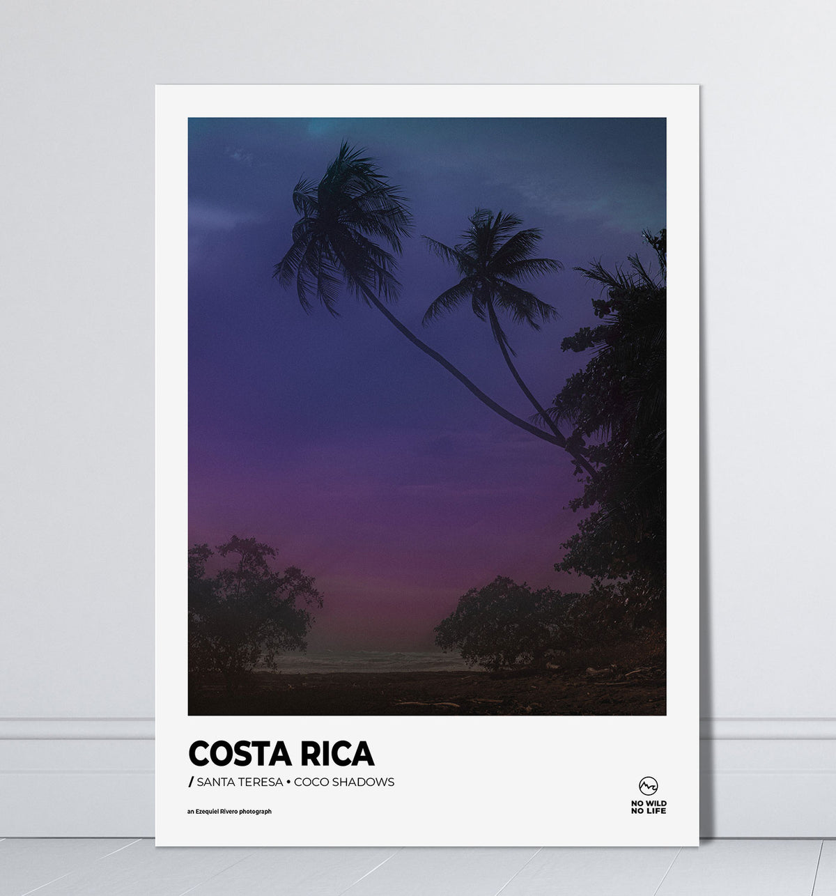 Coco Shadows