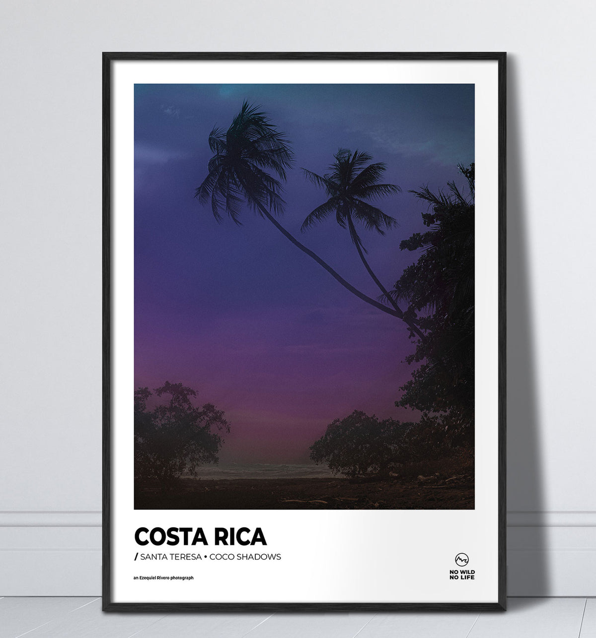 Coco Shadows