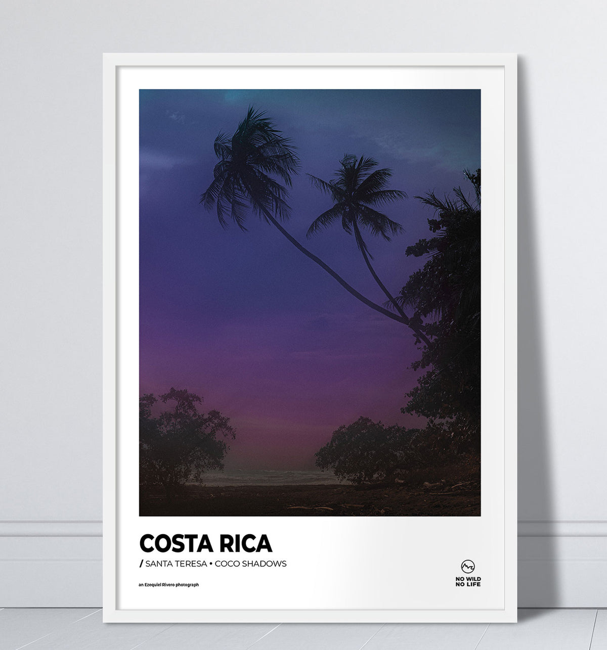 Coco Shadows
