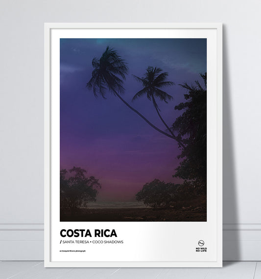 Coco Shadows