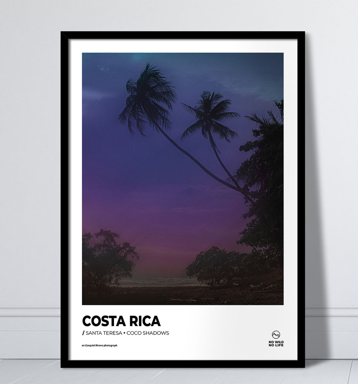 Coco Shadows
