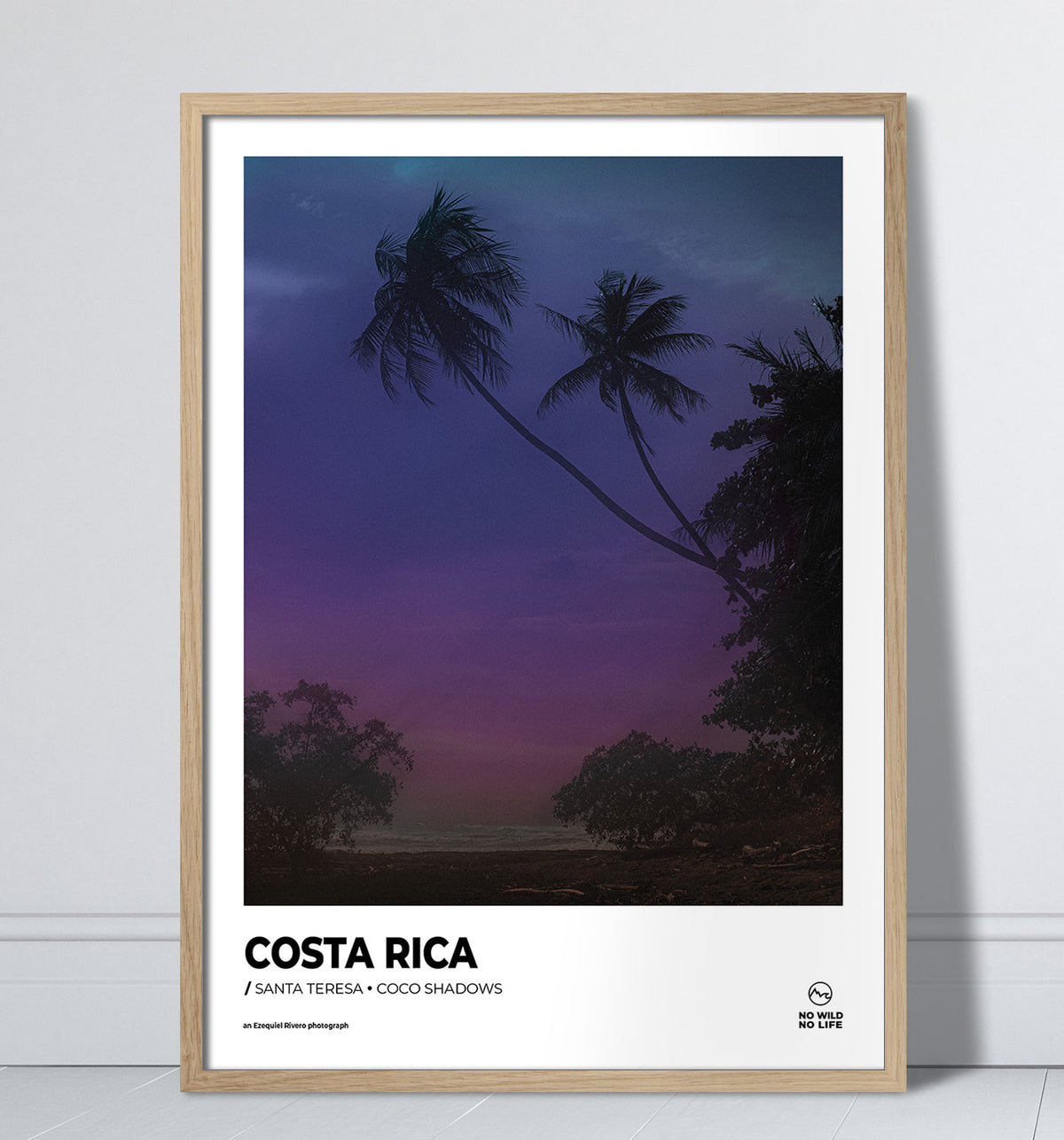 Coco Shadows