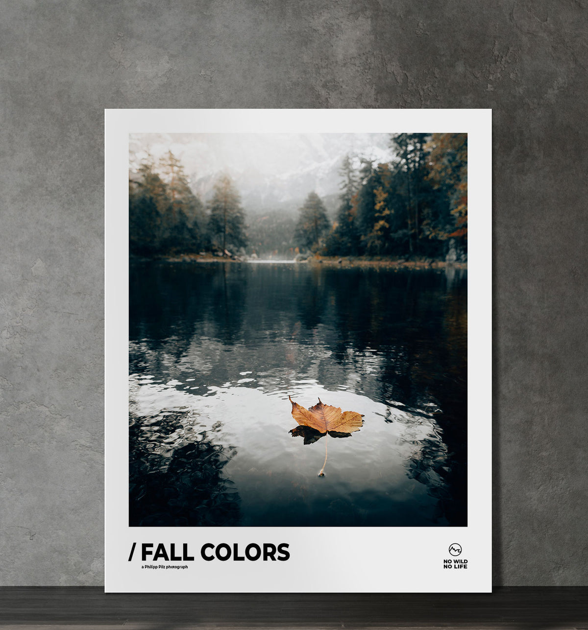 Fall Colors