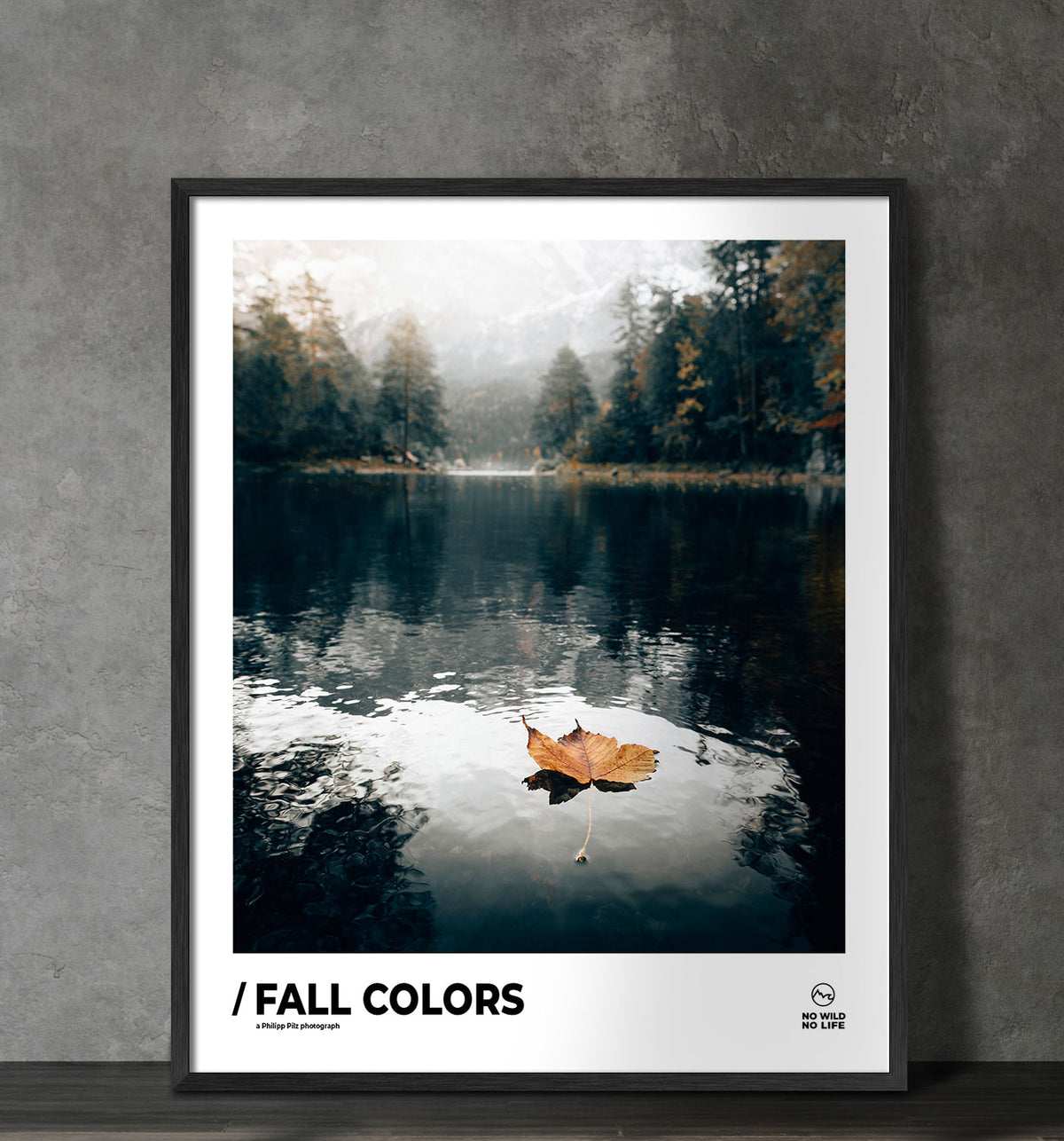 Fall Colors