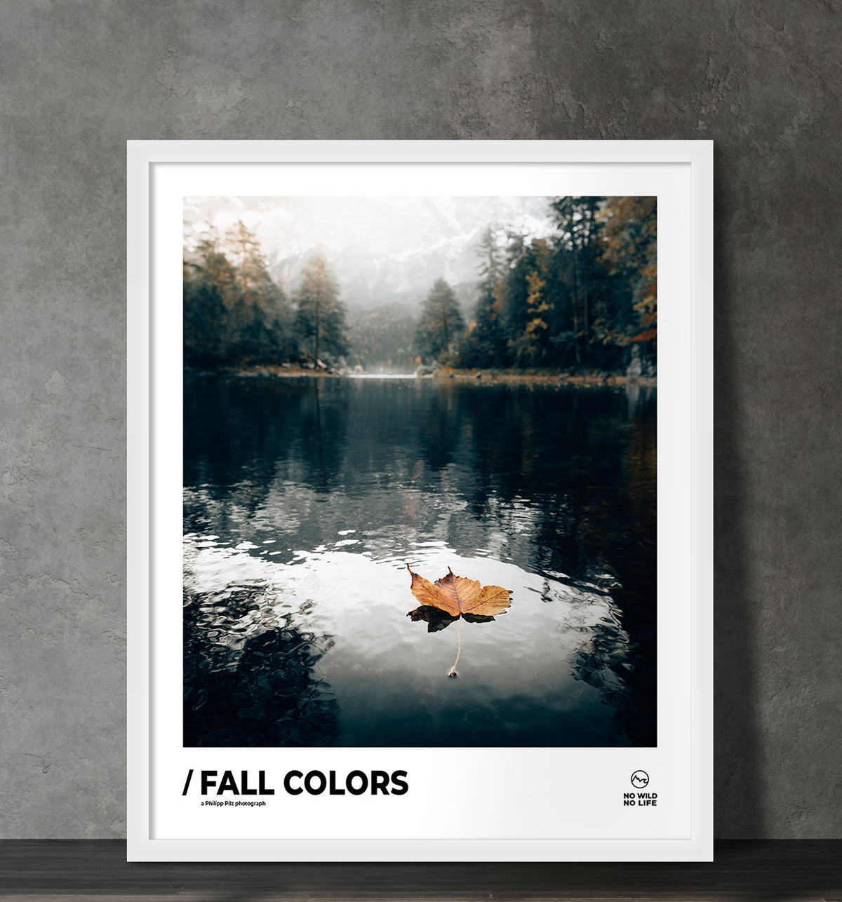 Fall Colors