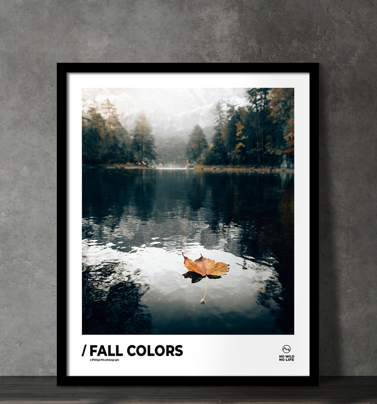 Fall Colors
