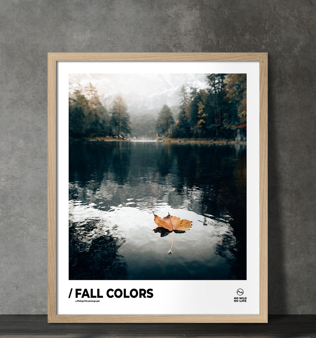 Fall Colors