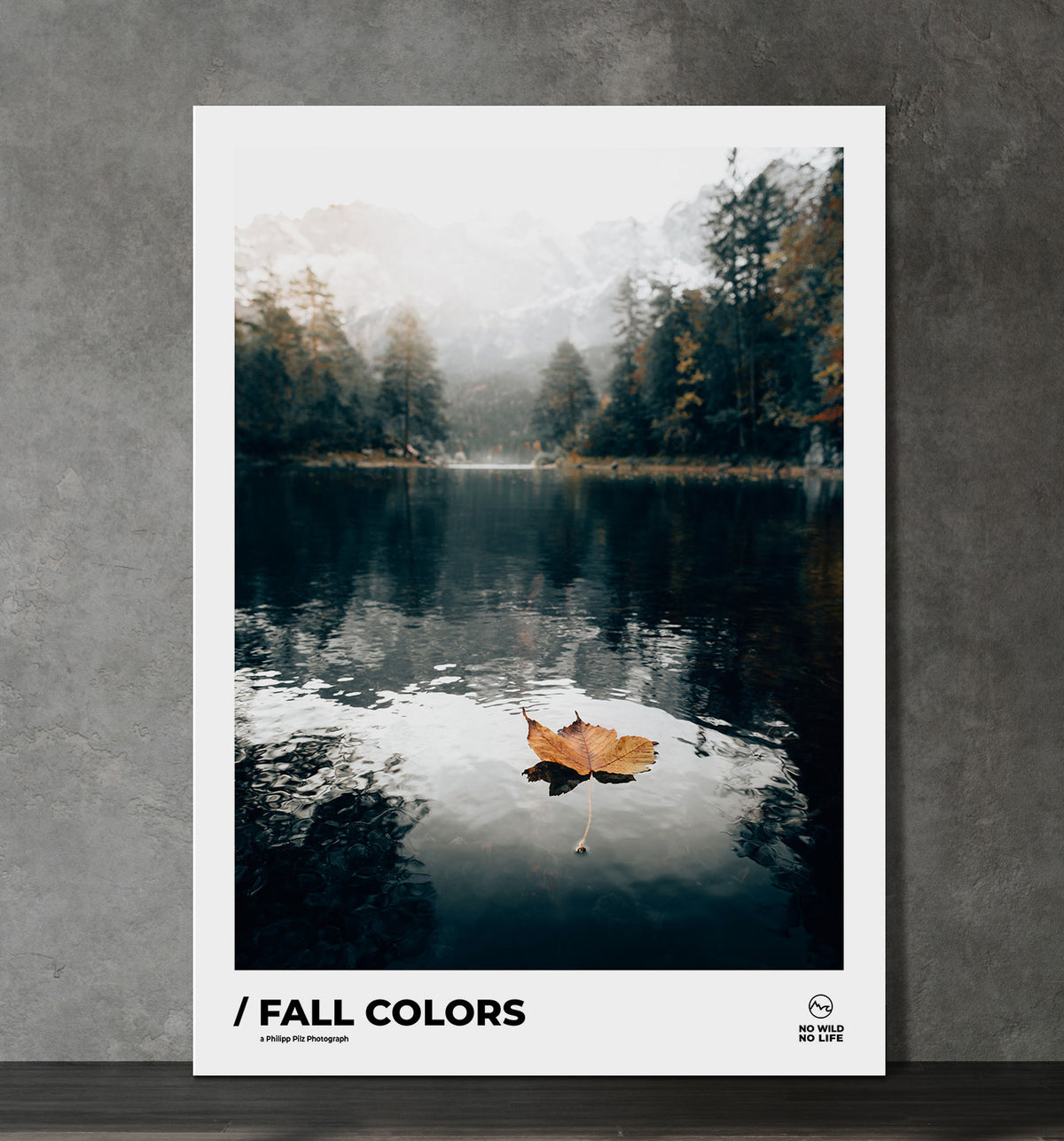 Fall Colors