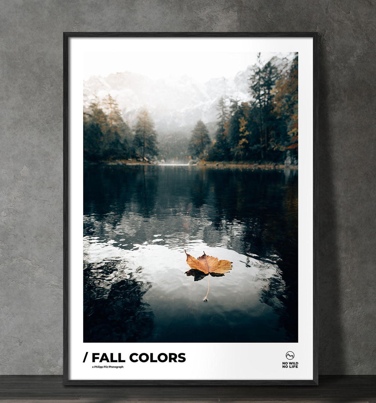 Fall Colors