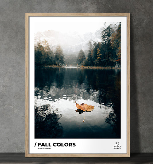 Fall Colors