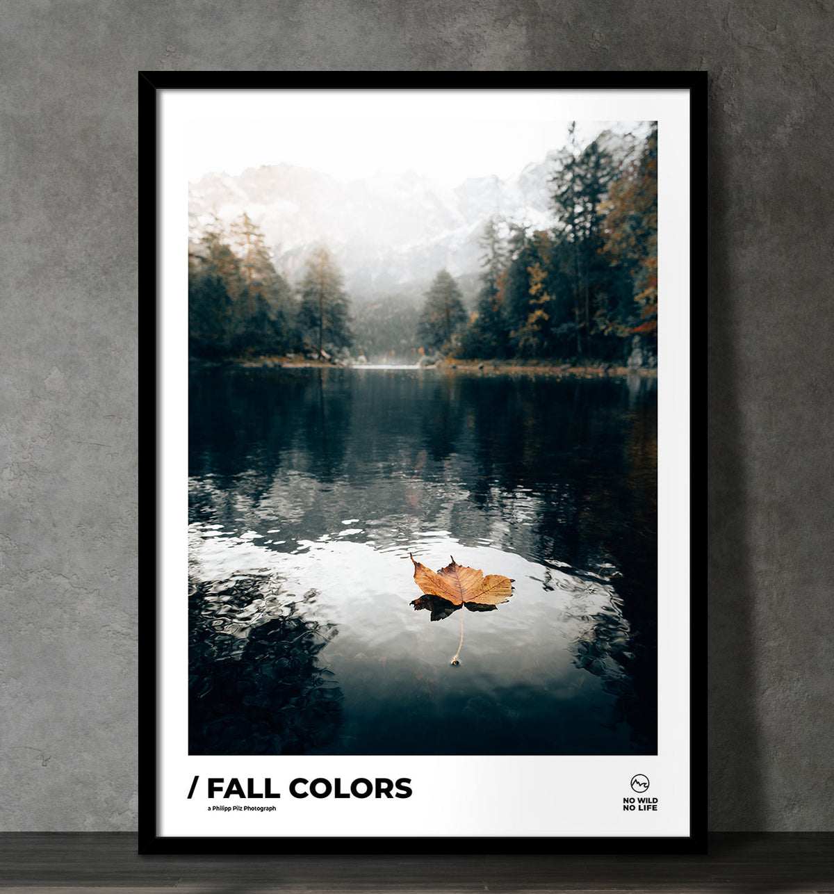 Fall Colors